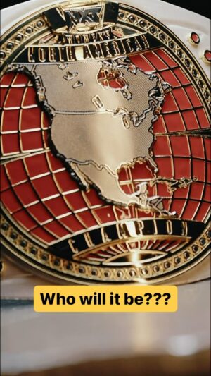 Theresa Lee Schuessler Instagram - Who do YOU have making history and becoming the first-ever #WWENXT Women’s North American Champion TOMORROW at #NXTBattleground? 🤔