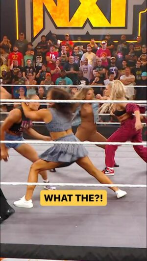 Theresa Lee Schuessler Instagram - A full on BRAWL has broken out! 😳 #WWENXT