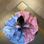 Thiessa Woinbackk Instagram - Quando recebi o convite para vir ao Festival Everybody’s Perfect, o maior festival LGBTQIA da Suíça, em Genebra, passou um filme na minha cabeça, eu uma menina do interior de Goiás sonhando que um dia eu conseguiria ser uma atriz, podendo viver fazendo o que eu amo, comparecendo nesse evento maravilhoso que promove a diversidade, e poderia até ser apenas assim, mas o fato de ser uma mulher trans tornou tudo mais difícil, quando falamos em cinema e sonhos, logo imaginamos a Disney, que em seus 98 anos nunca teve uma representatividade trans. Os primeiros registros de pessoas trans na história da humanidade chegam a cerca de 4.500 anos atrás, e até hoje a maior empresa cinematográfica do mundo nunca se preocupou em promover essa diversidade, portanto, estou eu aqui com meu LOOK de Princesinha TRANS!!!! Pra dizer para vocês pessoas trans, acreditem em seus sonhos, ocupem seus espaços, a luta não é fácil, eu tive muitos privilégios e acessos que amenizaram meu processo de uma certa forma, mas que eu tenho consciência que não é assim para todes, e eu espero que de alguma forma eu possa inspirar outras pessoas que assim como eu, cresceram sem muitas referências, hoje o cenário muda pouco, bem pouco, mas é um progresso... então não ocultem o que vocês são, seus talentos, e sonhem, sonhem lutando e acreditando em vocês. obrigada @leonmarttins por topar entrar nessa cmg e construir esse vestido LINDO! te amo ❤️