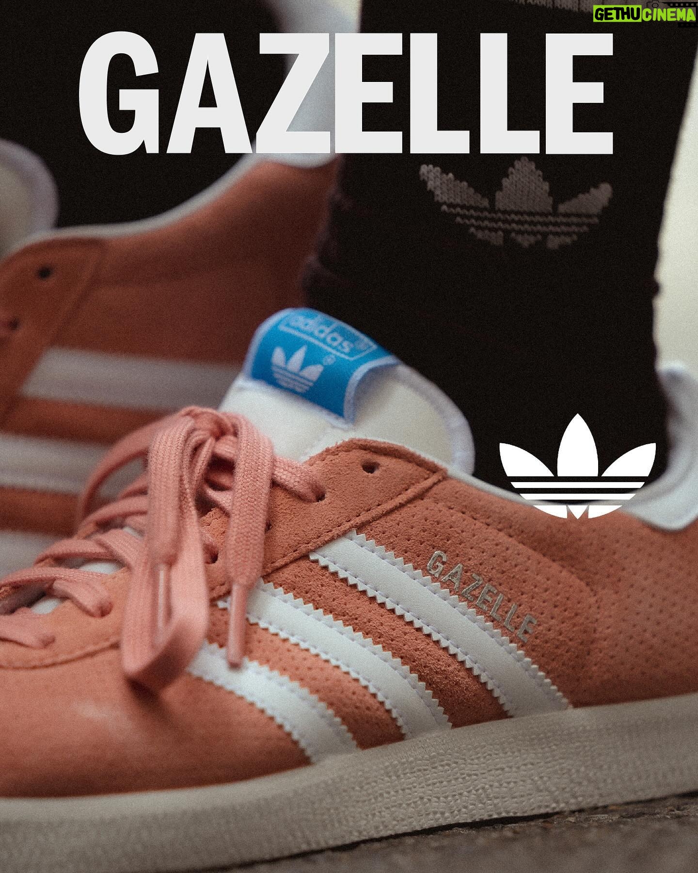 Thitiya Jirapornsilp Instagram - #adidasOriginals #adidasThailand #adidasGazelle #createdwithadidas