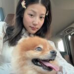 Thitiya Jirapornsilp Instagram - 1 day ft.นูน่าเลี้ยงใบปอ🐾🌈
