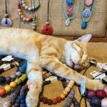 Thomasin McKenzie Instagram – The cats of Greece own the streets