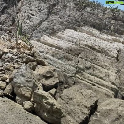 Tia Carrere Instagram - Happy #earthday fellow humans! #costarica #dronevideo #drone #dronephotography @pedebevec