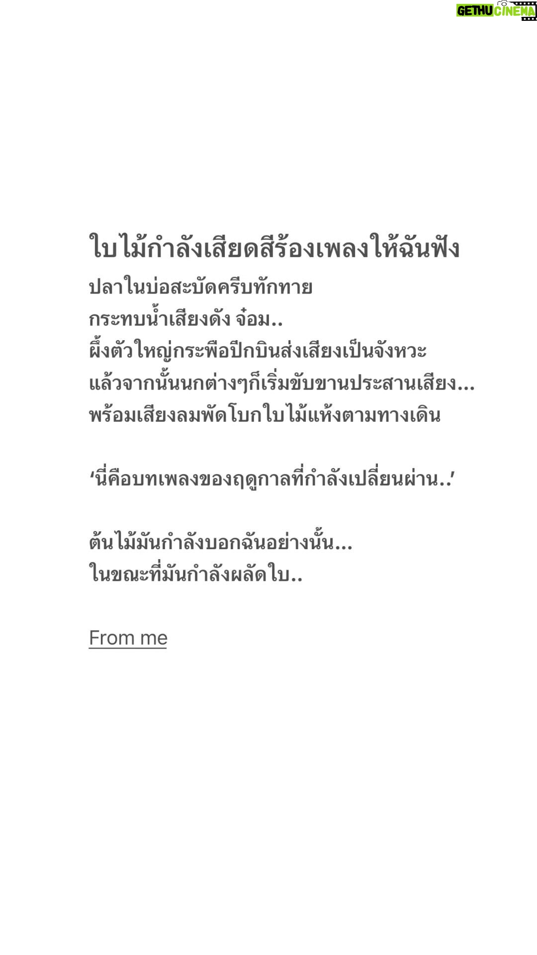 Ticha Wongtipkanon Instagram - π³πΊππ₯πͺΉπ±π
