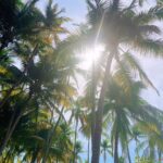 Tiffany Alvord Instagram – 🌴 I went to tortuga island & did NOT sea any turtles 🐢 so that was deceiving.. but I did see jumping dolphins!  We also snorkeled, tried a banana boat, and some delish coconuts! 🥰 Side-note: I think green might be my go-to color this year. 💁‍♀️ // 
–
#QOTD: Would you rather see dolphins or turtles?! 🐬 vs. 🐢