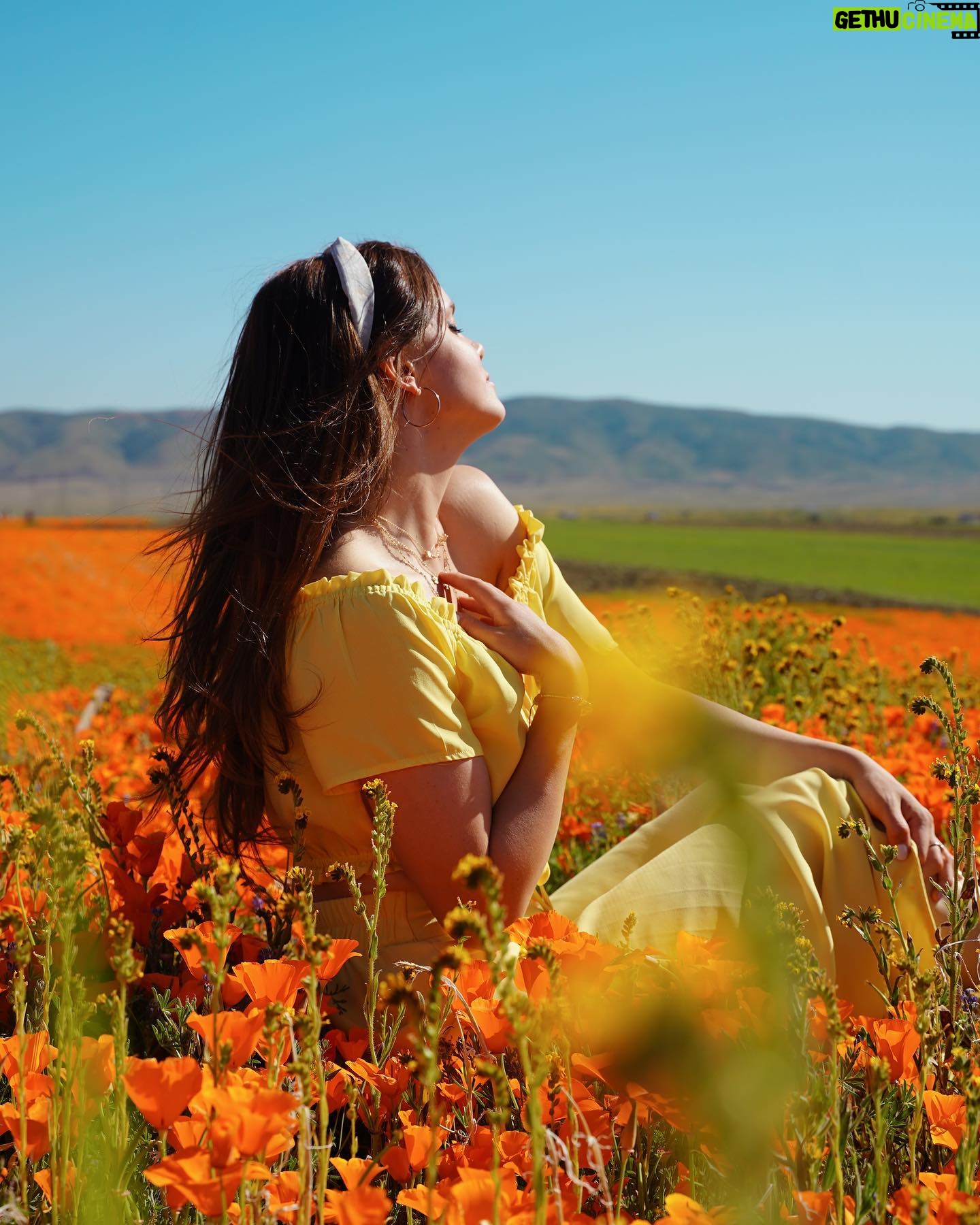 Tiffany Alvord Instagram - ✨Nothing like poppy fields in spring! 🥰 // Also have you seen my new video? // link in Bl0 🎶// It’s a video of me singing first ever cover on YouTube! 💭 Fun-fact I had a first kiss in a poppy field! 🙈