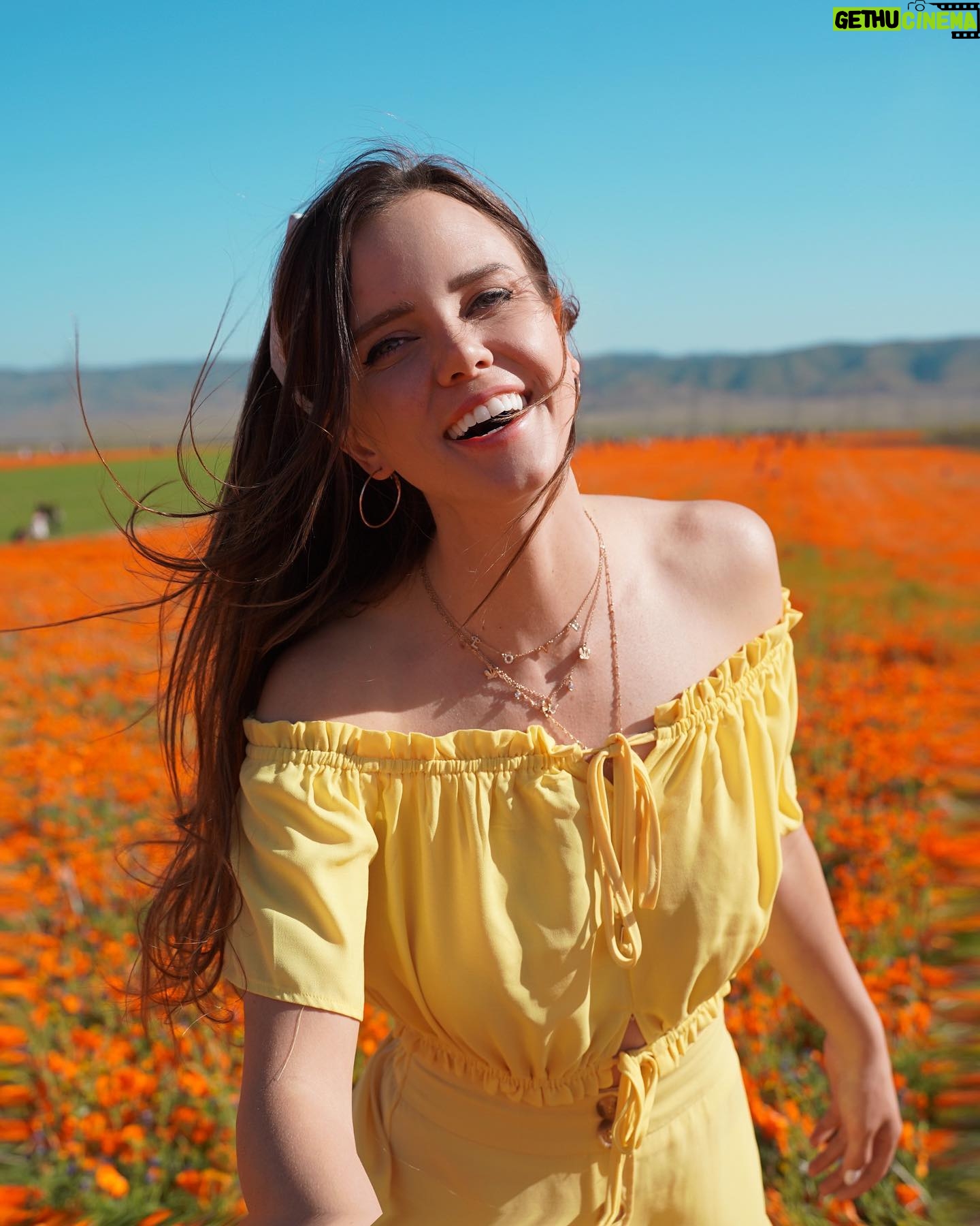 Tiffany Alvord Instagram - ✨Nothing like poppy fields in spring! 🥰 // Also have you seen my new video? // link in Bl0 🎶// It’s a video of me singing first ever cover on YouTube! 💭 Fun-fact I had a first kiss in a poppy field! 🙈
