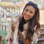 Tiffany Lau Instagram - literal cuteness overload 😍🥹🐑 from what i can remember, all i could say was “awwwwhhh” & “好得意呀”!!! 🫣😳 馬來西亞嘅朋友，今晚有得睇啦!!! 🤭 #心度遊 9:00pm on AstroTVB Jade 📺