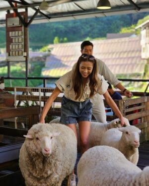 Tiffany Lau Instagram - literal cuteness overload 😍🥹🐑 from what i can remember, all i could say was “awwwwhhh” & “好得意呀”!!! 🫣😳
馬來西亞嘅朋友，今晚有得睇啦!!! 🤭 
#心度遊 9:00pm on AstroTVB Jade 📺