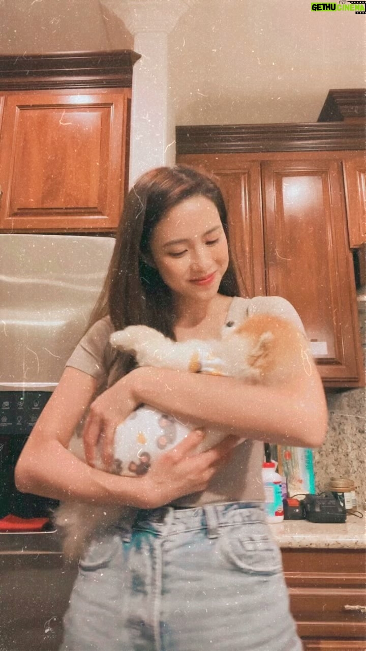 Tiffany Lau Instagram - pov: your dog’s your baby and you just can’t stop kissing her 🐶❤️ friendly reminder: always cherish, love, & give your furry friend’s attention because you are their everything.