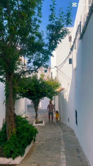 Tiia Elg Instagram - Vinkki Espanjaan matkaajille, jos haluat rauhalliseen kohteeseen. 

Me vierailtiin kauniissa pikkukaupungissa Vejer de la Frontera

📍Vejer sijaitsee Cádizin maakunnassa Andalusiassa. mäen päällä yli 200 metrin korkeudessa. 

Me tehtiin kävelyretki Vejerin keskiaikaiseen 1000-luvun linnaan. Käytiin katsomassa  Divino Salvadorin kirkkoa sekä Nuestra Señora de La Olivan pyhättöä. 

Linna on rakennettu Vejerin korkeimmalle paikalle arabien aikakaudelta peräisin olevalle linnakkeelle. 

Kävelymatka aikuiselle taittuu helposti, lapsiltakin matka meni hyvin yhden pysähdyksen taktiikalla. Me pysähdyttiin syömään tapaksia ja oli muuten todella hyviä ja henkilökunta todella ystävällisiä. 

Kadut ovat söpöjä, mutkittelevia ja kapeita, että auto kannattaa jättää parkkiin jo alkumetreillä. 
 
Siestan jälkeen pikkukauduille avautui ravintoloita, pieniä uniikkeja putiikkeja, sekä viileitä terasseja. 

Kevät ja syksy on varmasti paras aika vierailla kaupungissa. Kesällä on liian kuuma. 

Tähän aikaan vuodesta oli todella kaunista, koska kaikki on vihreänä ja kukat kukkivat. Mulla loppui akku, joten multa jäi valitettavasti kuvaamatta kaunis vuorimaisema havupuiden ja kallioiden keskellä. Automatka alas oli upea. 

📍Vejer de la Fronterassa on La Breña y Marismas del Barbaten luonnonpuistosta, johon pääset Vejerin keskustasta vieviä polkuja pitkin.