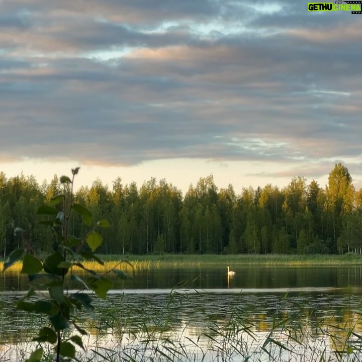 Tiia Elg - 3 Likes - Oltiin viime vuonna poissa Suomesta koko kesä. Oli kiva kokemus, ja teki hyvää olla pidempi pätkä muualla, irtiotto tutuista ympyröistä.
Kuitenkin, vaikka rakastan nähdä maailmaa, tutustua uusiin ihmisiin ja paikkoihin, kesä on kesä parhaimmillaan Suomessa tutuissa ympyröissä🟠☀️
Hyvää Juhannusta 🌿
Ensimmäinen kuva @eevamakinen