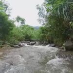 Tika Bravani Instagram - Pertama kali nih, Kalam nyobain hiking dan susur sungai. Ternyata nggak seburuk yang kukhawatirkan. Dia selow aja waktu kakinya kotor kejeblos lumpur. Paling dia ngereog dikit setelah kepleset di sungai. Wajarlah. "Ibuu aku capek.. ibuu aku laper.. ibuu aku ngantuk.." Anak rewel ya dinikmati aja, sambil nongkrong ngemil arem-arem di pinggir sungai. Kapan lagi begini? Meski begitu, anak baikku tetap jalan karena tujuannya..... kembali ke parkiran 😅 Pengalaman yang sangat beda, dan perlu diulang. Thank you @penjelajahcilik.id @hikingtherapyhill yang sangat ekstra banget penjagaannya. Bikin aku ngerasa aman di saat arus sungai tiba-tiba deras 😅