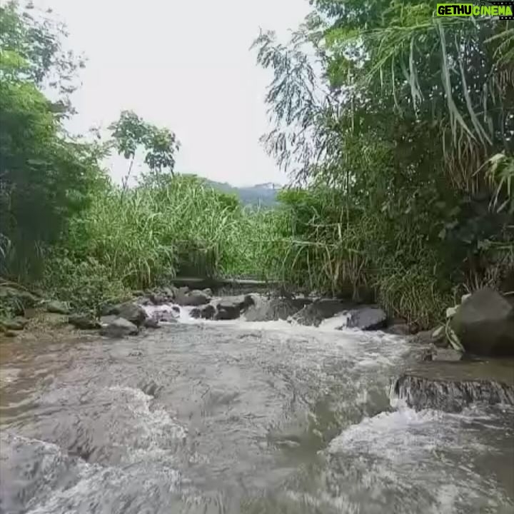 Tika Bravani - 1.7K Likes - Pertama kali nih, Kalam nyobain hiking dan susur sungai. Ternyata nggak seburuk yang kukhawatirkan. Dia selow aja waktu kakinya kotor kejeblos lumpur. Paling dia ngereog dikit setelah kepleset di sungai. Wajarlah.
"Ibuu aku capek.. ibuu aku laper.. ibuu aku ngantuk.."
Anak rewel ya dinikmati aja, sambil nongkrong ngemil arem-arem di pinggir sungai. Kapan lagi begini?
Meski begitu, anak baikku tetap jalan karena tujuannya..... kembali ke parkiran š
Pengalaman yang sangat beda, dan perlu diulang. Thank you @penjelajahcilik.id @hikingtherapyhill yang sangat ekstra banget penjagaannya. Bikin aku ngerasa aman di saat arus sungai tiba-tiba deras š