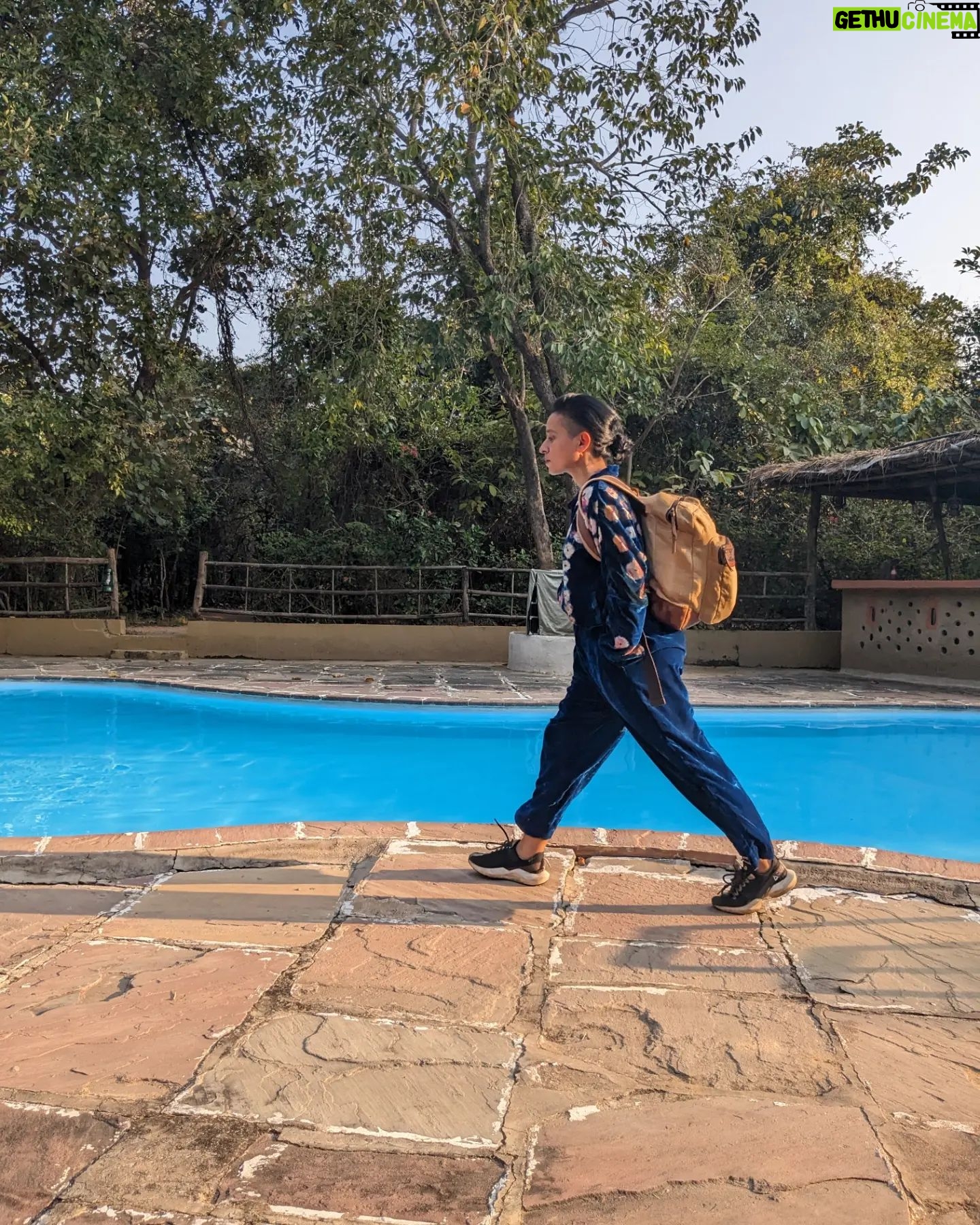 Tillotama Shome Instagram - Happy weekend. Sun-dried hair, long strides and big trees.