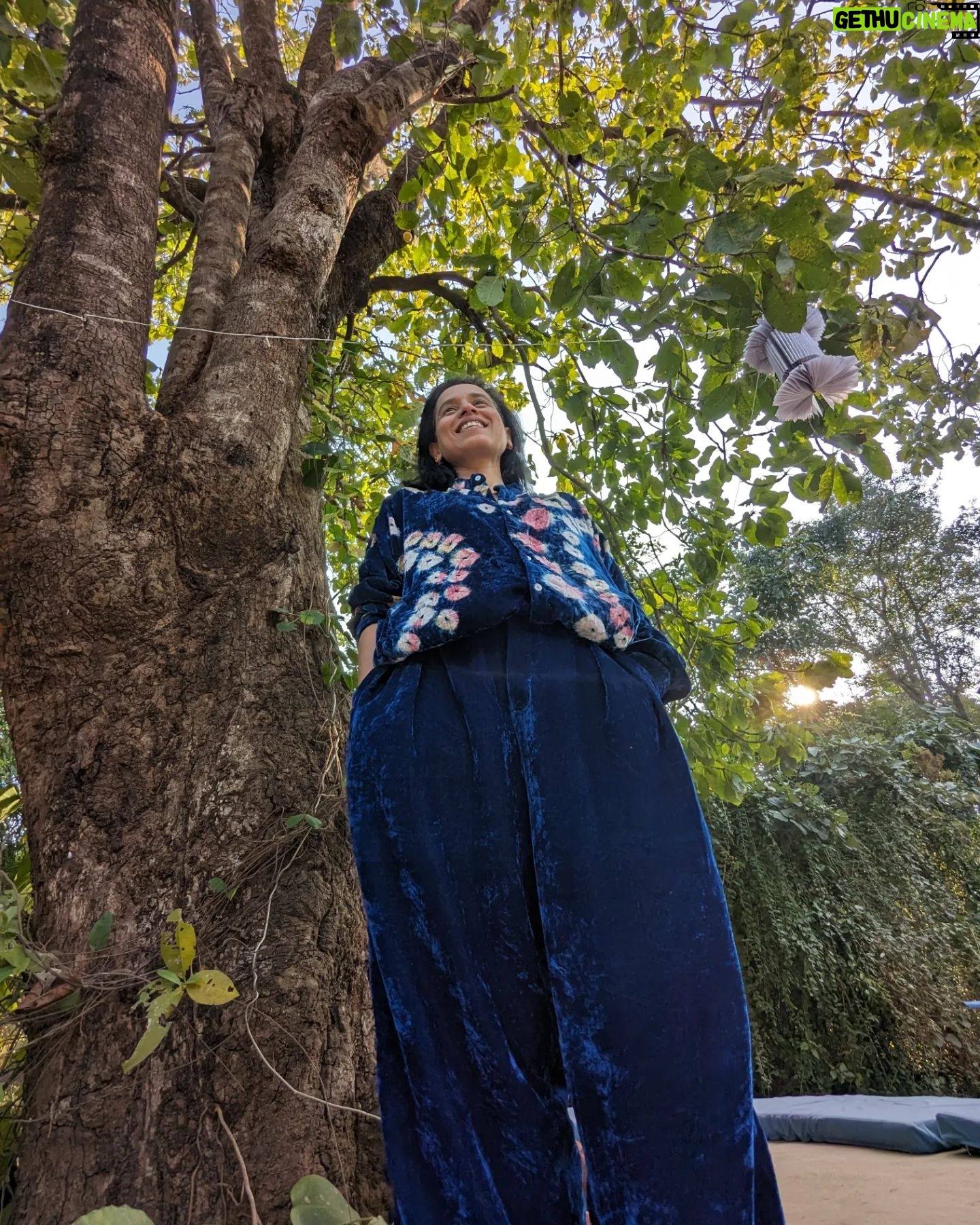 Tillotama Shome Instagram - Happy weekend. Sun-dried hair, long strides and big trees.