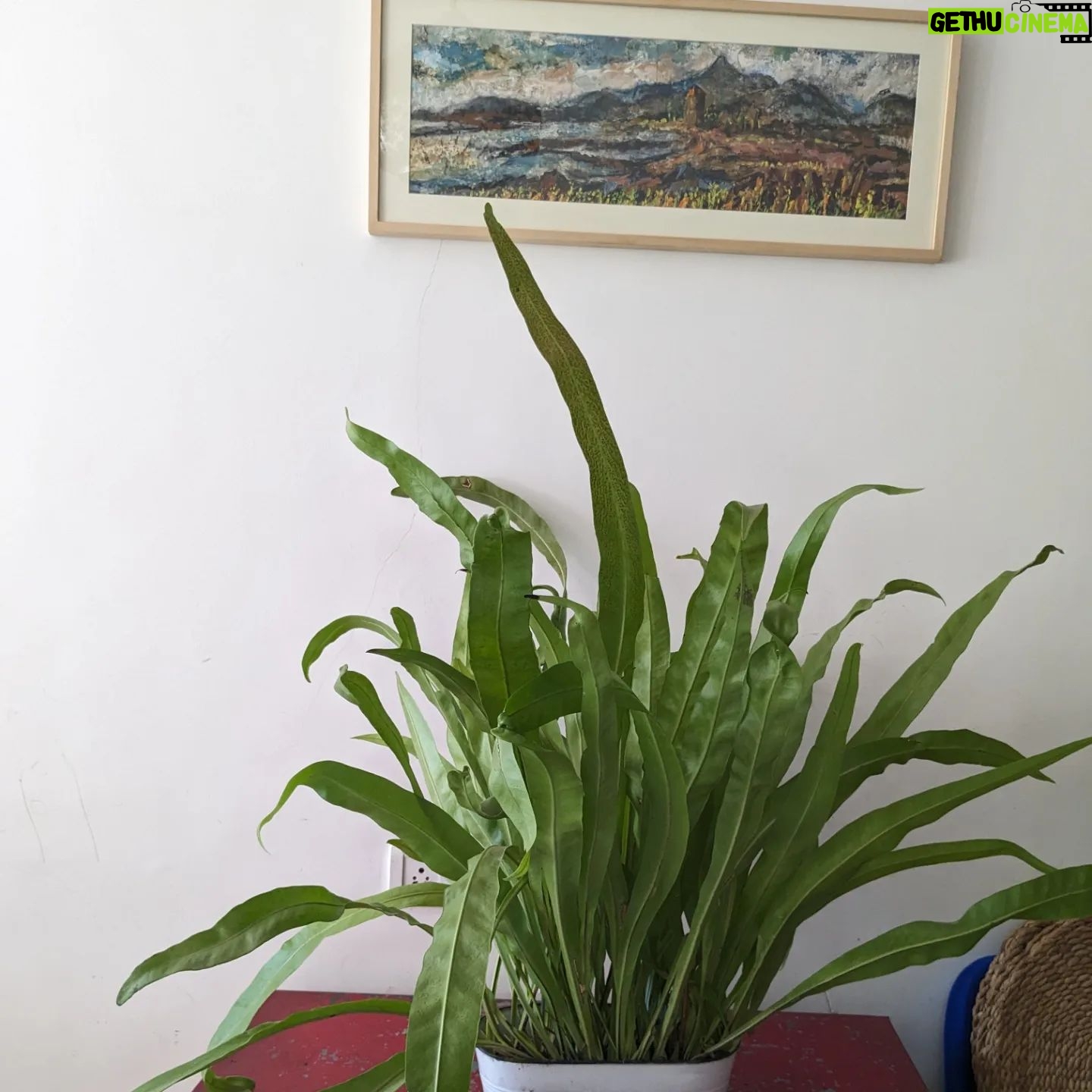 Tillotama Shome Instagram - Living Room Life