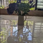 Tillotama Shome Instagram - Happy Sunday All!! Eustomas and Hydrangea love for the week to come from @theflowershop.one A broken Eustomas for a shot of love.