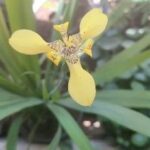 Tillotama Shome Instagram -