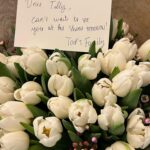 Tilly Keeper Instagram – non mi piacciono i piccioni