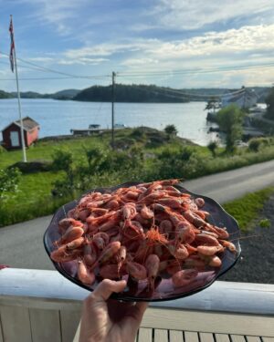 Tiril Sjåstad Christiansen Instagram - Årets første pioner 🌸 Krabbefiske 🦀 Vårmarked på Sandøya 🐚 Sene kvelder på verandaen 🌇 Reker 🦐 Vafler 🧇 og morgenbad 🏊🏼‍♂️ eller som vi sier her på Sørlandet, SMEIGEDAG, eller i dette tilfellet, en skikkelig SMEIGEHELG på hytta 🙏🏼