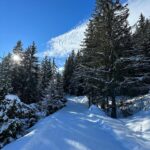 Tiziri Digne Instagram – Courchevel vibes ❄️

Deux salles, deux ambiances avec ces deux photos ! 📸
Pas de ski aujourd’hui mais on a beaucoup marché, ce matin dans la nature, c’était juste magnifique (cf photo 2) et ensuite dans les boutiques ! Une bien belle journée ✨

#courchevel #courchevel1850 #winterfashion #ootdfashion