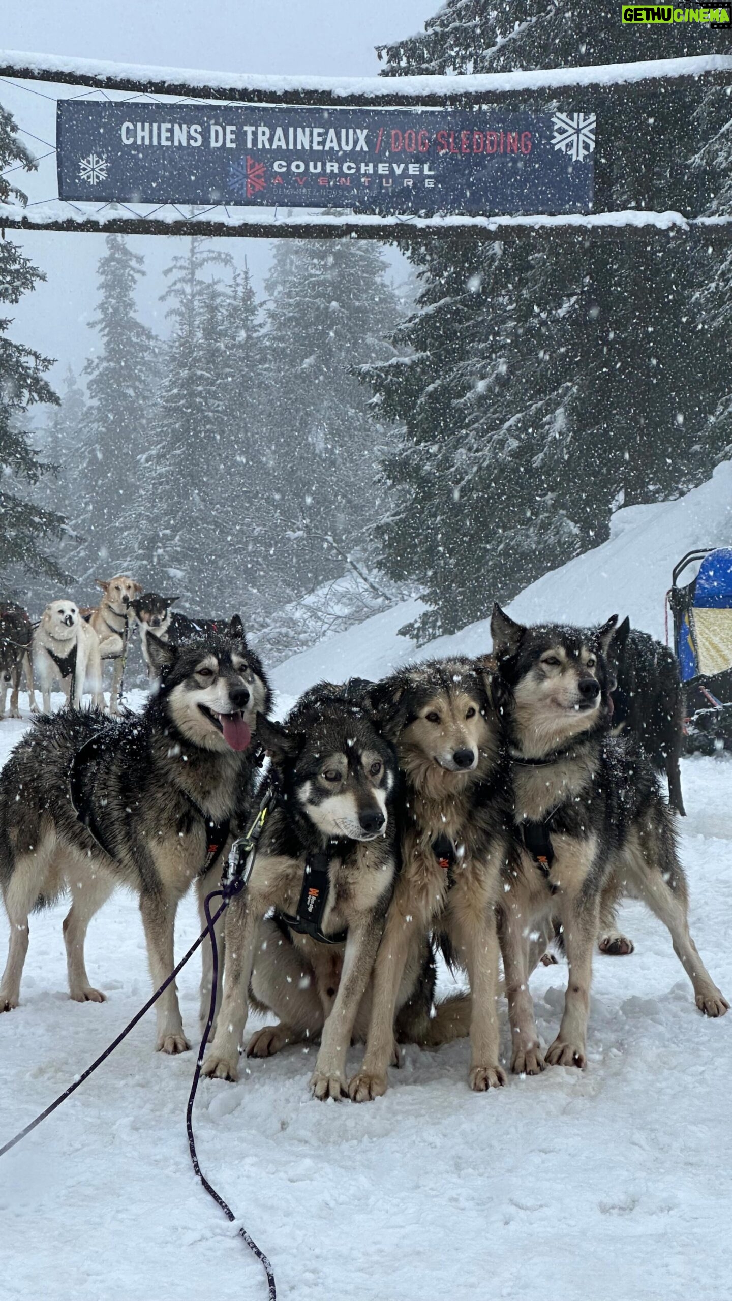 Tiziri Digne Instagram - Ski en famille ❄️ C’est parti pour un condensé de bonheur : 55 secondes à Courchevel ! Des vacances en famille agréables, pleines de fou rire, & de beaux souvenirs ! Nous repartons heureux & ressourcés ❤️ PS : Enregistrez cette vidéo pour pouvoir la retrouver facilement ou partagez la à vos proches s’ils prévoient des vacances au ski ❄️ #courchevel #ski #skiing #vacancesenfamille #family