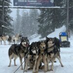 Tiziri Digne Instagram - Dog sledding 🐕❄️ Une expérience incroyable, les paysages étaient magnifiques , les enfants étaient aux anges, tout était parfait ! 🤩 #chiendetraineau #dogsledding #vacances #famille #ski