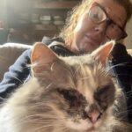 Tjitske Reidinga Instagram - Lieve poezen volgers ,ik ben al 2000 euro verder ..de dierenarts kan me niet helpen met de ogen van mijn lieve Roffie 😔heeft iemand ook een poes gehad die zwarte traantjes huilt ? 🙏🏽ook om haar neusje en kinnetje is het zwart ..Sorry voor de foto maar ik ben ten einde raad en ik dacht wie weet …liefs van ons