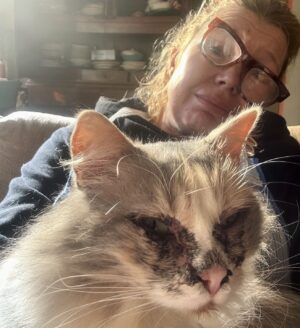 Tjitske Reidinga Instagram - Lieve poezen volgers ,ik ben al 2000 euro verder ..de dierenarts kan me niet helpen met de ogen van mijn lieve Roffie 😔heeft iemand ook een poes gehad die zwarte traantjes huilt ? 🙏🏽ook om haar neusje en kinnetje is het zwart ..Sorry voor de foto maar ik ben ten einde raad en ik dacht wie weet …liefs van ons