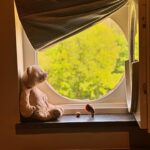 Tjitske Reidinga Instagram – Dank jullie wel lief publiek .Het waren intense maanden .Ik heb mijn vader verloren maar mijn speelplezier is dankzij jullie weer helemaal terug .Na de zomer ga ik verder met mijn voorstelling .Dank je wel @corienvanderzwaag en @martinebakkerofficieel voor het werken met een vrouw met een rugzakje of zeg maar rugzak π#moretheater π€