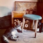 Tjitske Reidinga Instagram – Nog een gelukkig nieuwjaar lieve volgers 🤎🦊