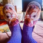 Tjitske Reidinga Instagram – Nog een gelukkig nieuwjaar lieve volgers 🤎🦊