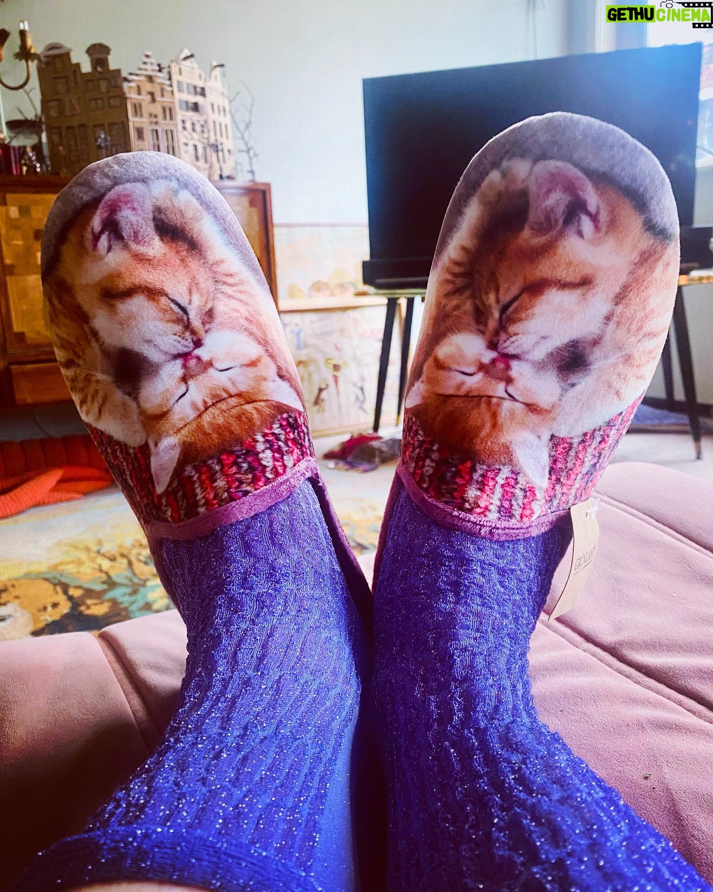 Tjitske Reidinga Instagram - Nog een gelukkig nieuwjaar lieve volgers 🤎🦊