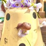 Tjitske Reidinga Instagram – Slakmatig waren het geen gemakkelijke weken 😳🐌😱#Tjitskestuin#wemakenerwatvan#snailandgardenart2024🐌#slakken#snailart