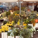 Tjitske Reidinga Instagram - Wat een mooie maandag .#Amstelveld #bloemenkraam #mijngroteliefdebloemen #Missesbouquet#janstar