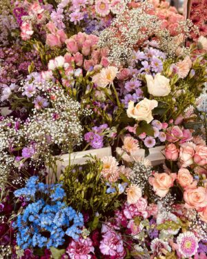 Tjitske Reidinga Instagram - Wat een mooie maandag .#Amstelveld #bloemenkraam #mijngroteliefdebloemen #Missesbouquet#janstar