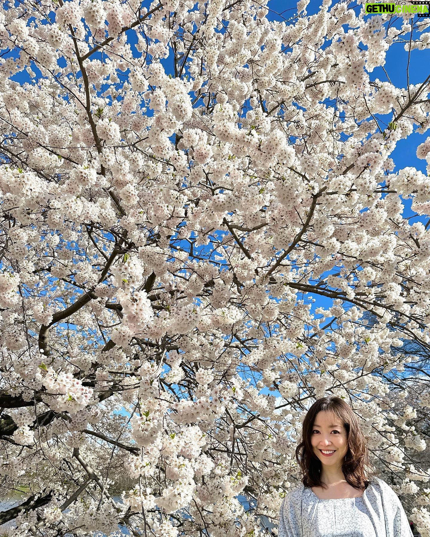 Tomoka Kurokawa - 7.4K Likes - ā”
ć»ć³ćć©ć«ćć¼ćÆć®ę”šø
ć¦ć§ćć£ć³ć°ćć¬ć¹å§æć®ę¹ćå®¶ęåēćę®ć£ć¦ććę¹ćč¦ććć¾ććšøāØ
ćć„ć¼ćØć¼ćÆćÆč”äøćę„ć¢ć¼ćć«ćŖć£ć¦ćć¦ćć¾ćš·
š
#é»å·ęŗč±ć®NYēéäø
#ęŗč±inNY
#nyc
#NewYork
#ćć„ć¼ćØć¼ćÆēę“»
#ę”
#cherryblossom
#centralpark
#pilgrimhill
#spring
