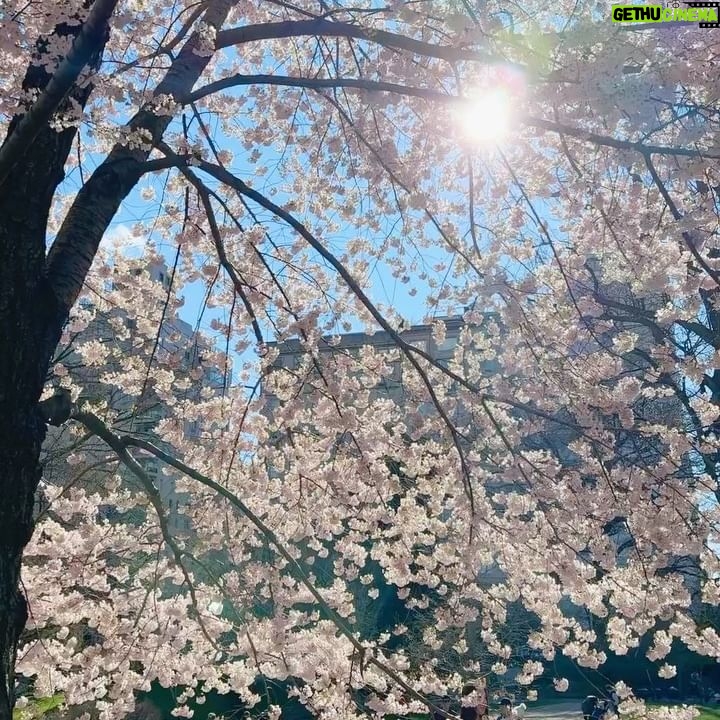 Tomoka Kurokawa - 7.4K Likes - ā”
ć»ć³ćć©ć«ćć¼ćÆć®ę”šø
ć¦ć§ćć£ć³ć°ćć¬ć¹å§æć®ę¹ćå®¶ęåēćę®ć£ć¦ććę¹ćč¦ććć¾ććšøāØ
ćć„ć¼ćØć¼ćÆćÆč”äøćę„ć¢ć¼ćć«ćŖć£ć¦ćć¦ćć¾ćš·
š
#é»å·ęŗč±ć®NYēéäø
#ęŗč±inNY
#nyc
#NewYork
#ćć„ć¼ćØć¼ćÆēę“»
#ę”
#cherryblossom
#centralpark
#pilgrimhill
#spring