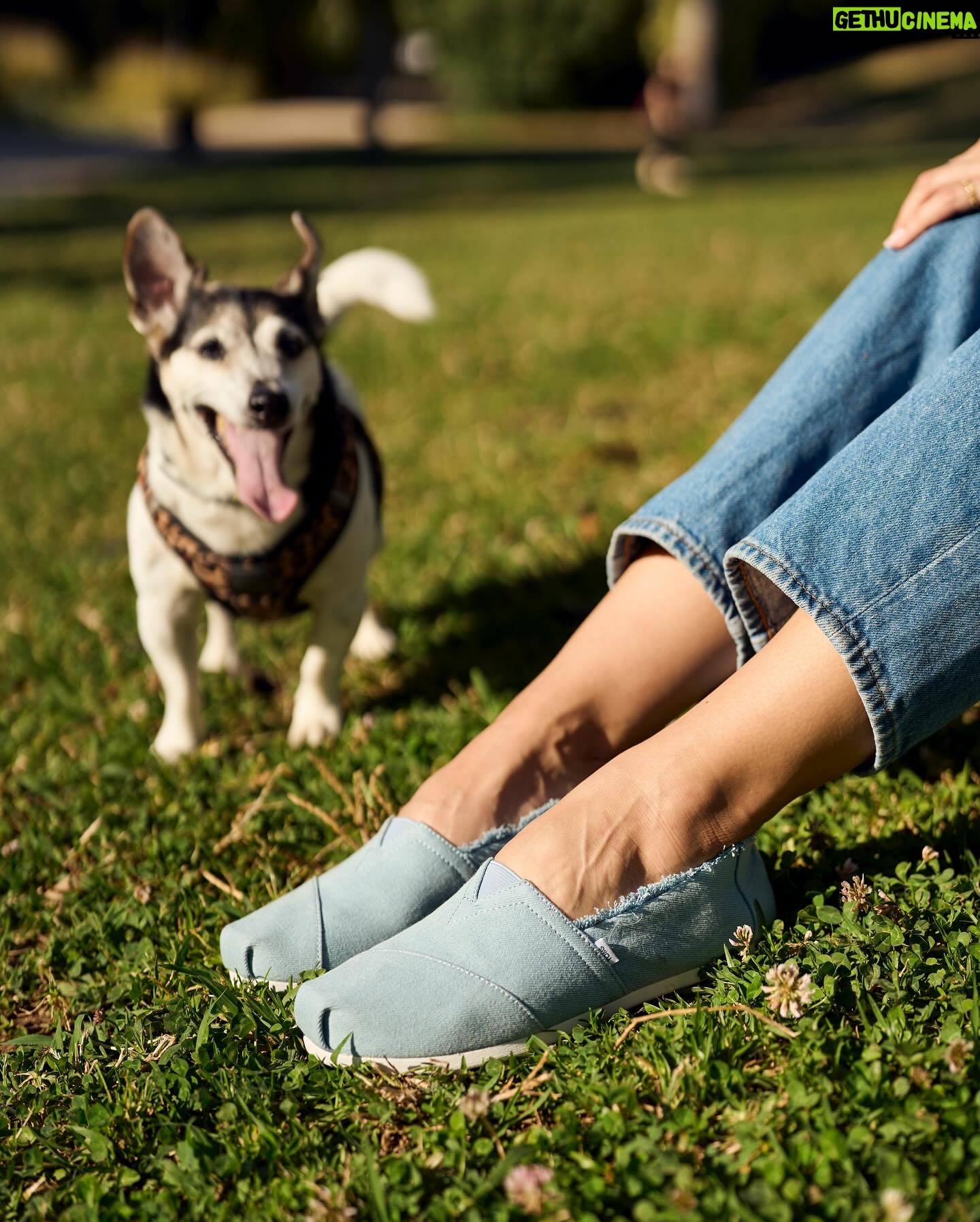 Tonia Sotiropoulou Instagram - Every morning walk I take with Stella, every moment I spend in nature, embracing sunshine, every step you take is an opportunity to be good to myself #weargood Κάθε πρωινή βόλτα με τη Στέλλα , κάθε στιγμή που έρχομαι κοντά στη φύση, κάθε ηλιόλουστη στιγμή , είναι μια ευκαιρία να κάνω το καλό για εμένα @tomsgreece Photographer @nmastoras @tomsgreece @toms #weargood #toms #tomsgreece
