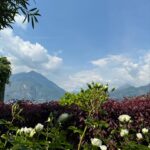 Tonia Sotiropoulou Instagram - La grande bellezza 🌺 #italiandays #italy #como #beauty #nature #bellagio #varena #spring #naturelover