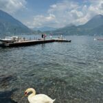 Tonia Sotiropoulou Instagram – La grande bellezza 🌺

#italiandays #italy #como #beauty #nature #bellagio #varena #spring #naturelover