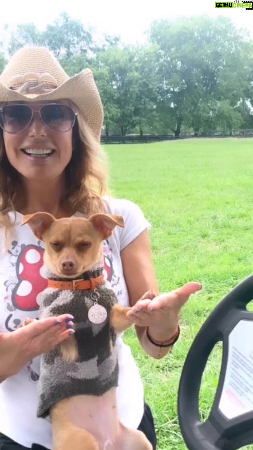 Tracey E. Bregman Instagram - When the Chihuahua you didn’t know you needed in your life becomes the Queen of your world… @traceybregman1 on why Ivy Rose is the one. 👑🌹🐾 Tracey and Ivy Rose on Episode 10 of @apawdcast . Watch and listen on Spotify, YouTube, and Apple Podcasts. Link in bio. Please help support our @deityanimalrescue mission and SUBSCRIBE. #rvclan #traceybregman #theyoungandtherestless #chihuahuasofinstagram #rescuedisourfavoritebreed
