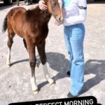 Tracey E. Bregman Instagram - What a beautiful day meeting 4 week old Casella! Thank you @dianaschneider1974 ❤️❤️ #foal #filly #horse #love #baby #farm #farmlife #ranch #ranchlife #ranchlifeinheels #friends