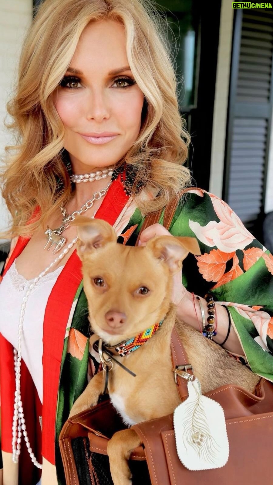 Tracey E. Bregman Instagram - When our guest this week is in between winning Emmy’s for her role as Lauren Fenmore on CBS’s The Young and The Restless, she is advocating for animals, “Supporting her Sisters” - and their women owned small businesses, caring for her own babies on her Nashville ranch, and fostering pregnant hoarding case chihuahuas, just pulled from the bellows of an RV. Yep. She does all that and STILL somehow made the time to come and hang out on our sofa - with her now Forever girl, Ivy Rose from the #RVClan. So excited to dive in and learn a thing or two about how it’s done. Please join us as we welcome @traceybregman1 to @apawdcast . Available at the link in bio and on Spotify, YouTube and Apple Podcasts. And don’t forget to SUBSCRIBE. 🐶🦋💕