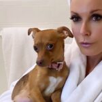 Tracey E. Bregman Instagram -