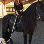 Tracey E. Bregman Instagram - We lost the soul of my Ranch this morning. Standing Ovation or Ovi, as he was known as, passed away with me by his side. This is the hard part for loving these beautiful souls so fiercely. We had 10 incredible years together and my boys and my whole family loved him deeply. Ovi, I hope you are doing canter pirouettes in heaven with Buddha by your side. #standingovation #freisian #love 💔❤️