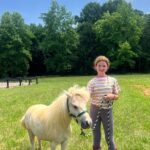 Tracey E. Bregman Instagram - A year and a half ago my friend , @csgrimaldi called me saying that the rescue he was at in Montana was closing down and they needed a place for ‘the boys’ How could I say no? They have been such a wonderful addition to my farm. Everyone here loves to get kisses from them and they are so affectionate and sweet. #adoptdontshop #rescue #rescuehorse #shetlandpony #theboys #malibu #montana