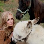 Tracey E. Bregman Instagram - Happy National Horse Day from Zorro! Wondering if there’s a National Donkey day? Asking for a friend (Pickles) photo by @genereedphotography and coat by @moocountry