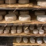 Tracy Pollan Instagram – We had a wonderful cheese extravaganza @marieannecantin in Paris. Thank you @harlancoben for the introduction